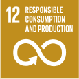 Responsible Consumption and Production